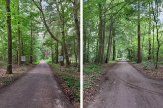 Sluijerweg 12 Ommen