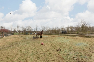 Westknollendam 120 AC Westknollendam